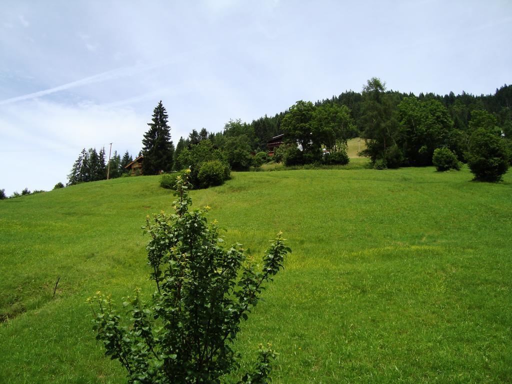 Schoner Erika Villa Oberau Rom bilde