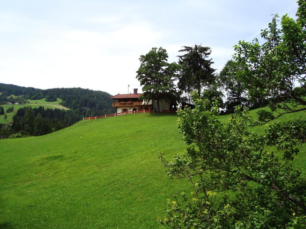 Schoner Erika Villa Oberau Rom bilde